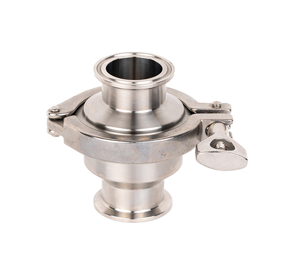 Clamp check valve
